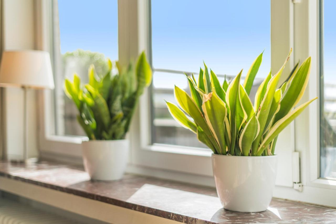 Fuths Penthouse 55 Apartment Antwerpen